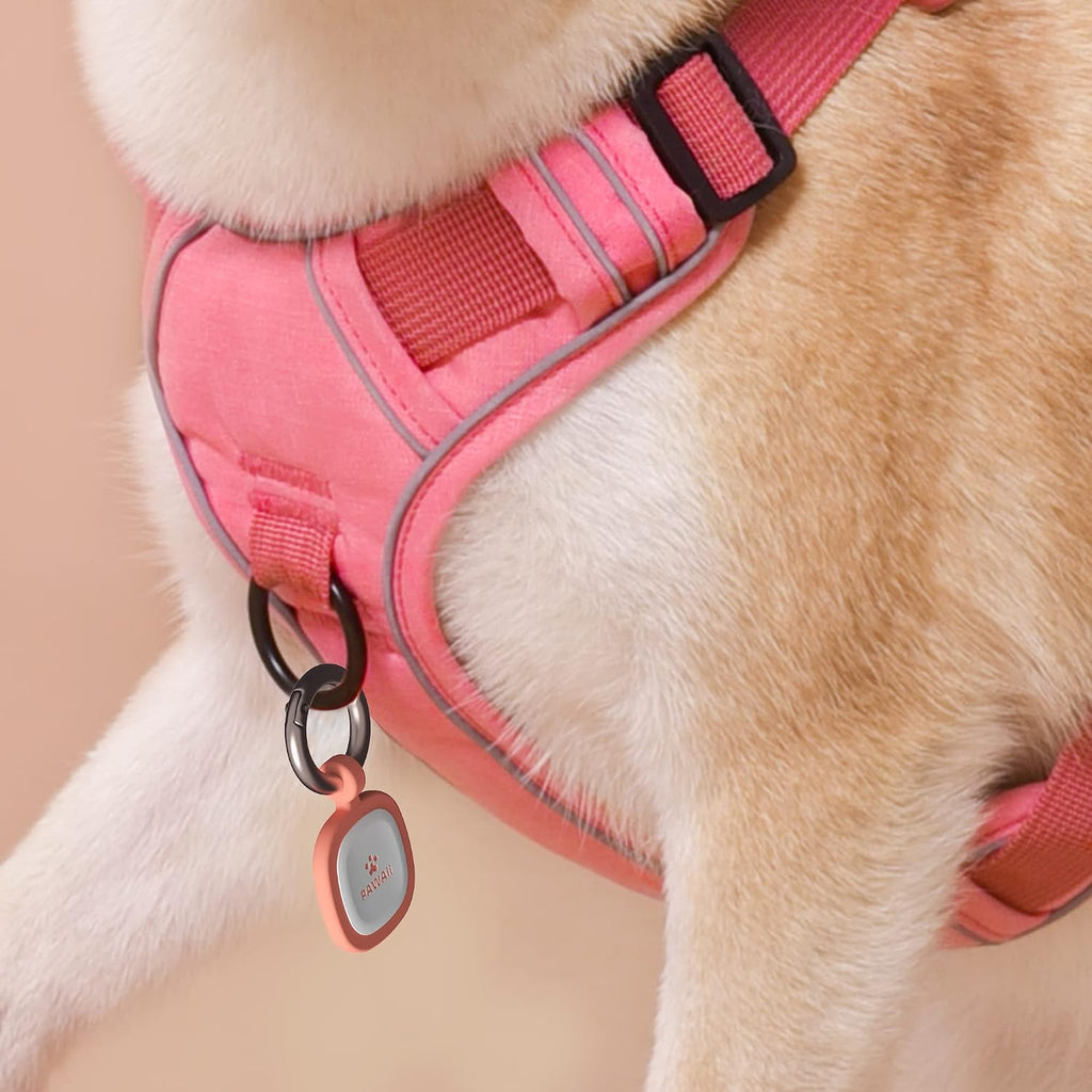 Safescan – Qr-Code Scannable Pet ID Tag
