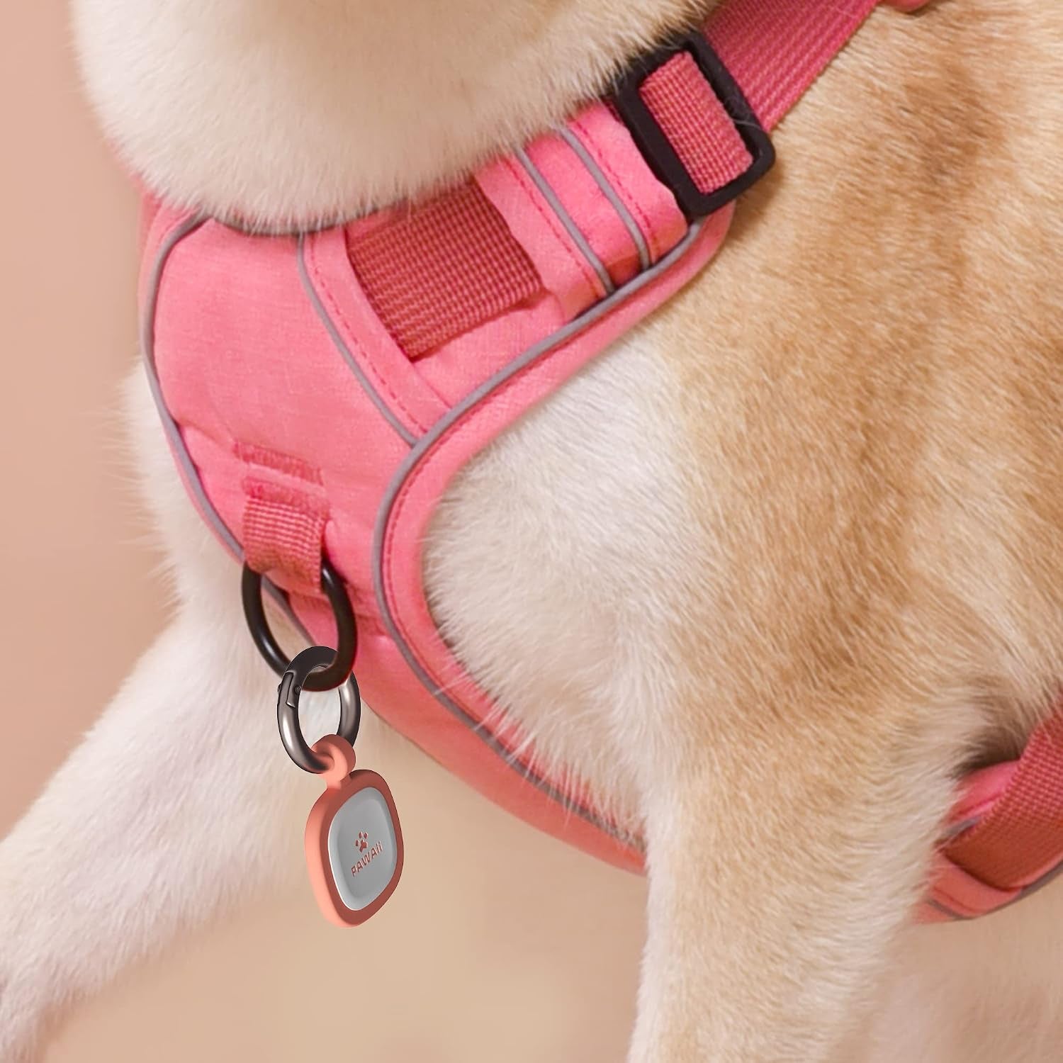 Safescan – Qr-Code Scannable Pet ID Tag