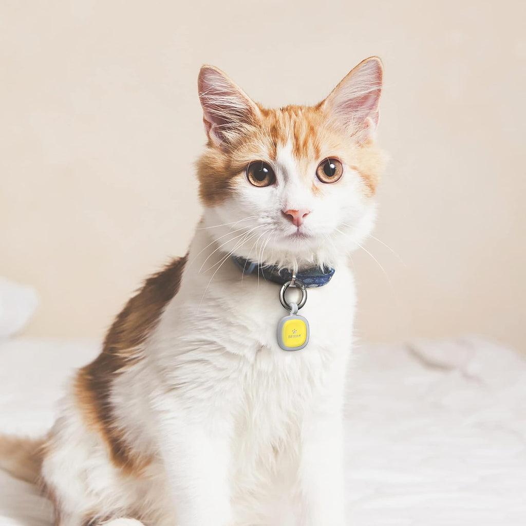 Safescan – Qr-Code Scannable Pet ID Tag
