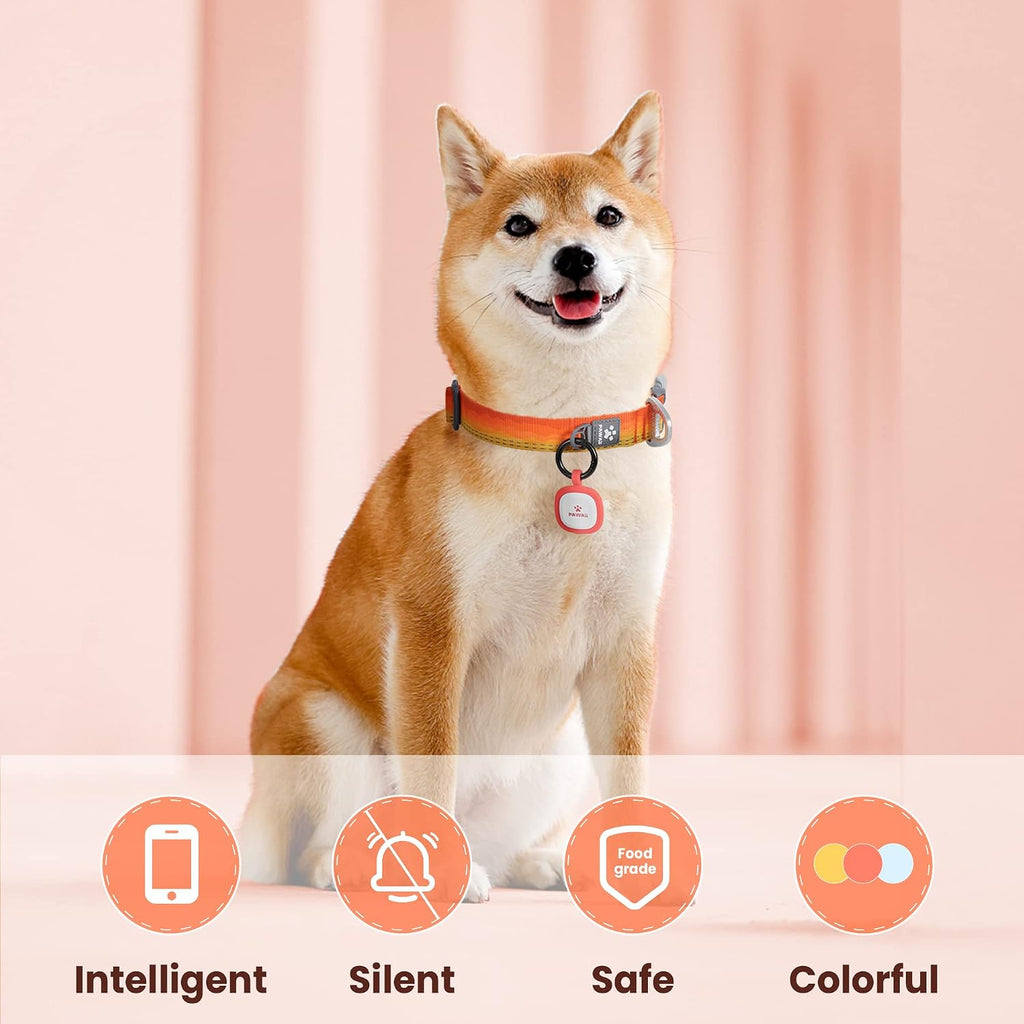 Safescan – Qr-Code Scannable Pet ID Tag