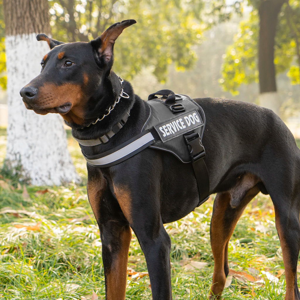 No-Pull Adjustable Dog Harness with Control Handle