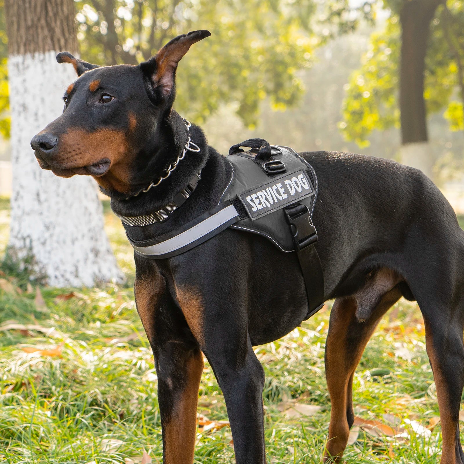 No-Pull Adjustable Dog Harness with Control Handle