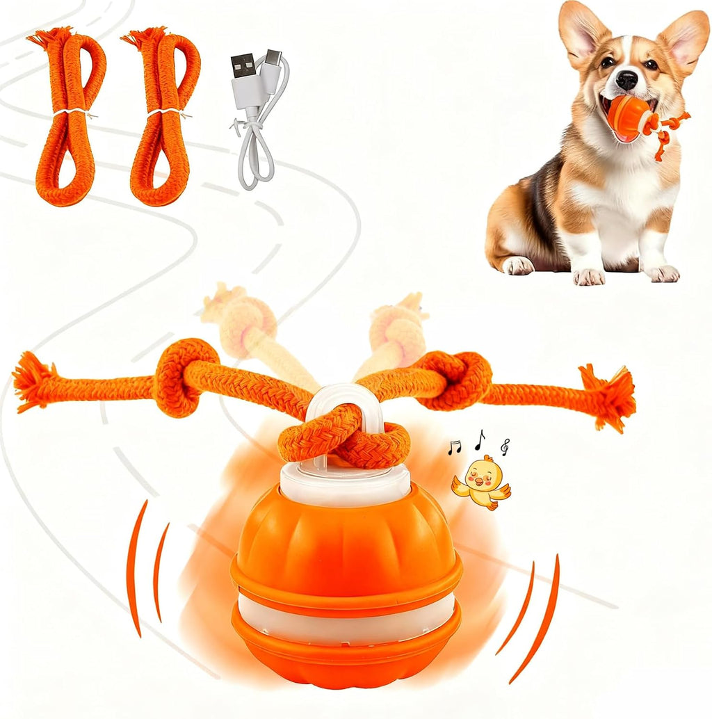 Rollfetch – Motion-Activated Interactive Dog Ball