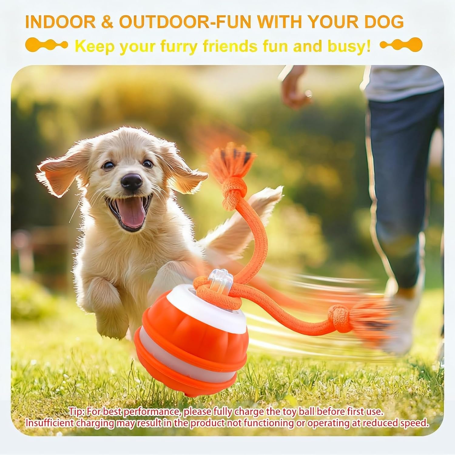 Rollfetch – Motion-Activated Interactive Dog Ball