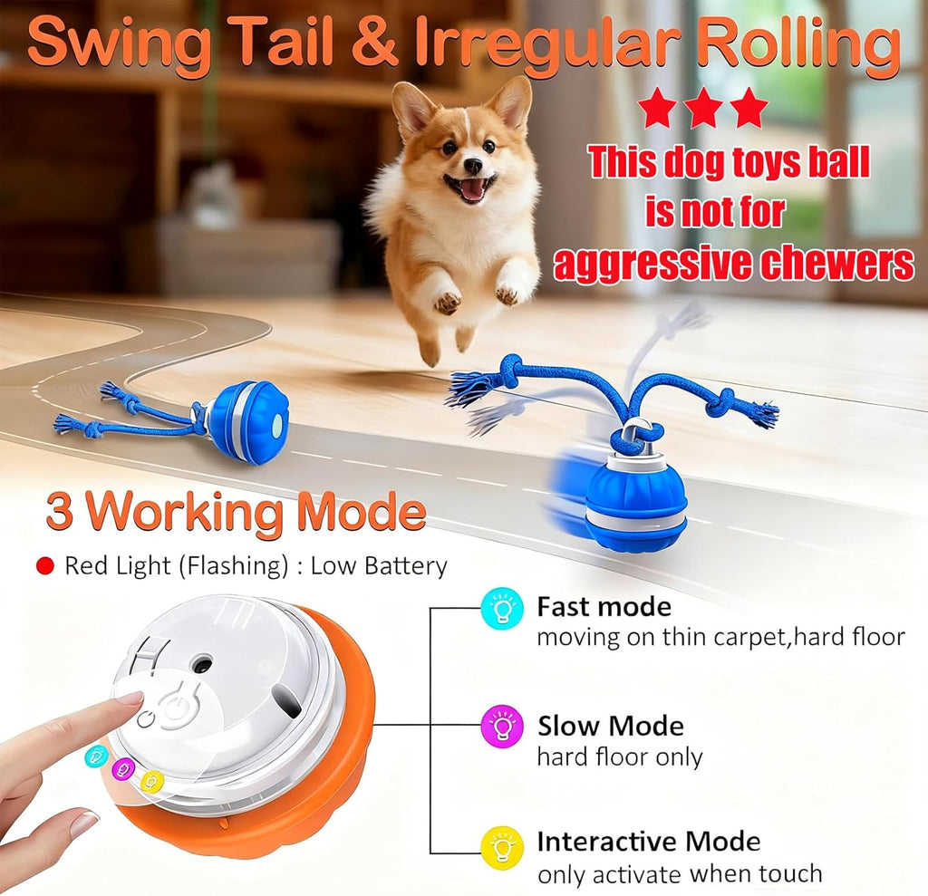 Rollfetch – Motion-Activated Interactive Dog Ball