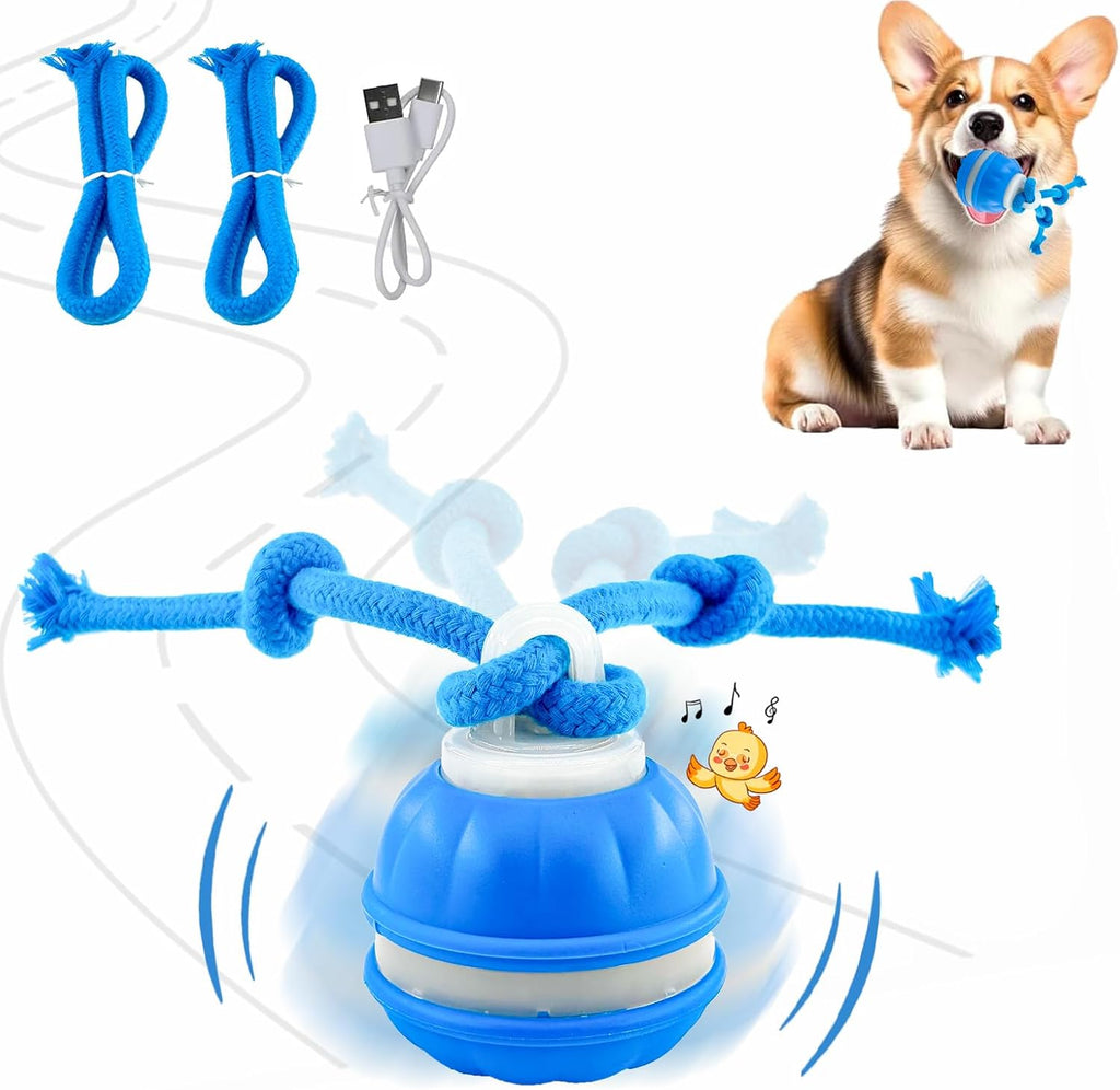Rollfetch – Motion-Activated Interactive Dog Ball