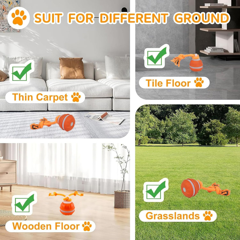Rollfetch – Motion-Activated Interactive Dog Ball